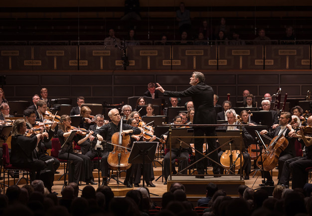 Man holding a cello. Photo.